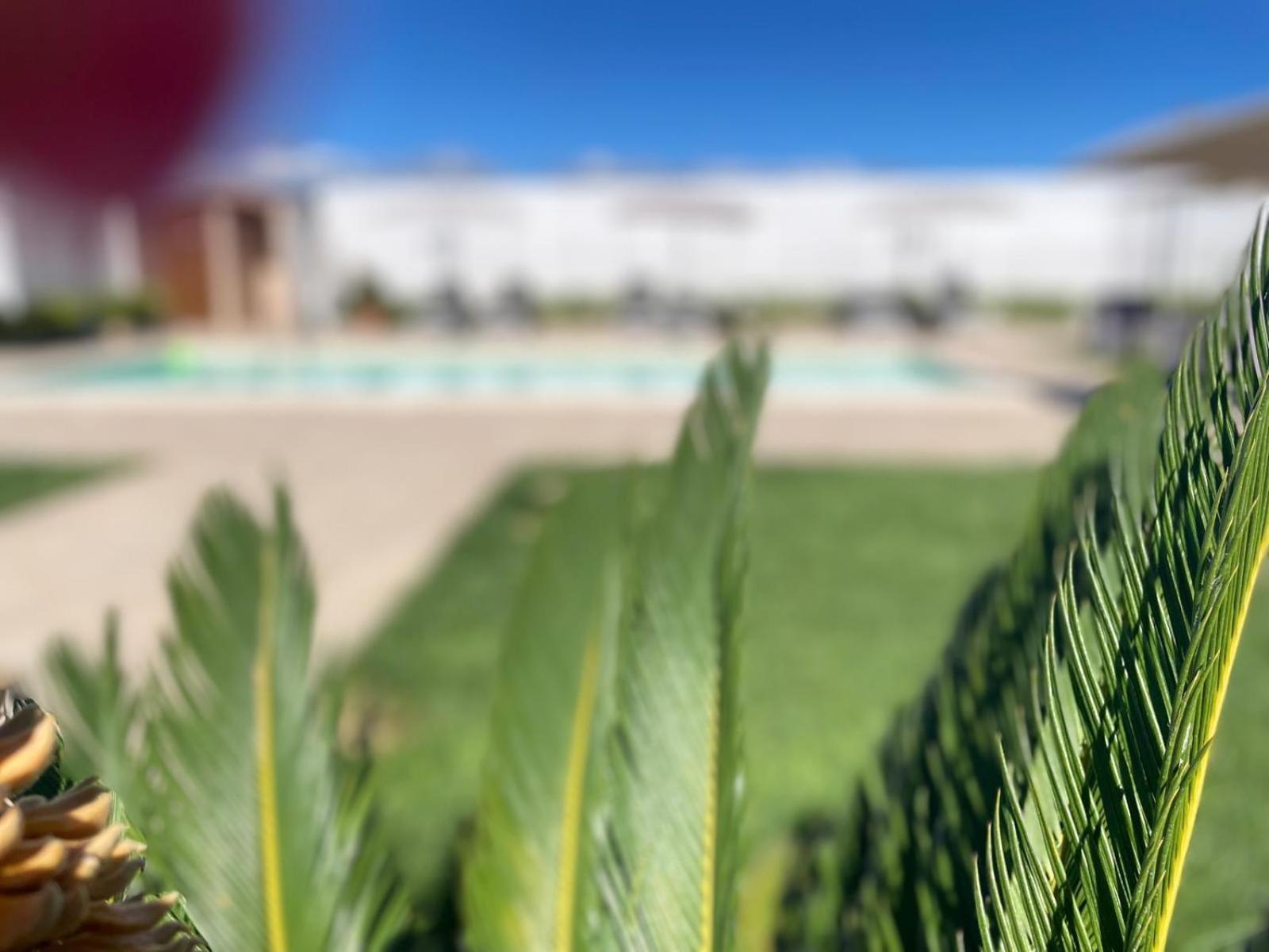 Agriturismo Albachiara Bisignano 外观 照片